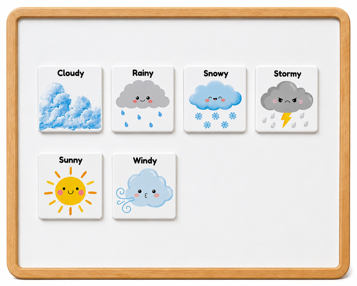 Weather Magnets